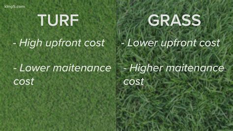 Turf Magic: The Secret to a Golf Course-Quality Lawn